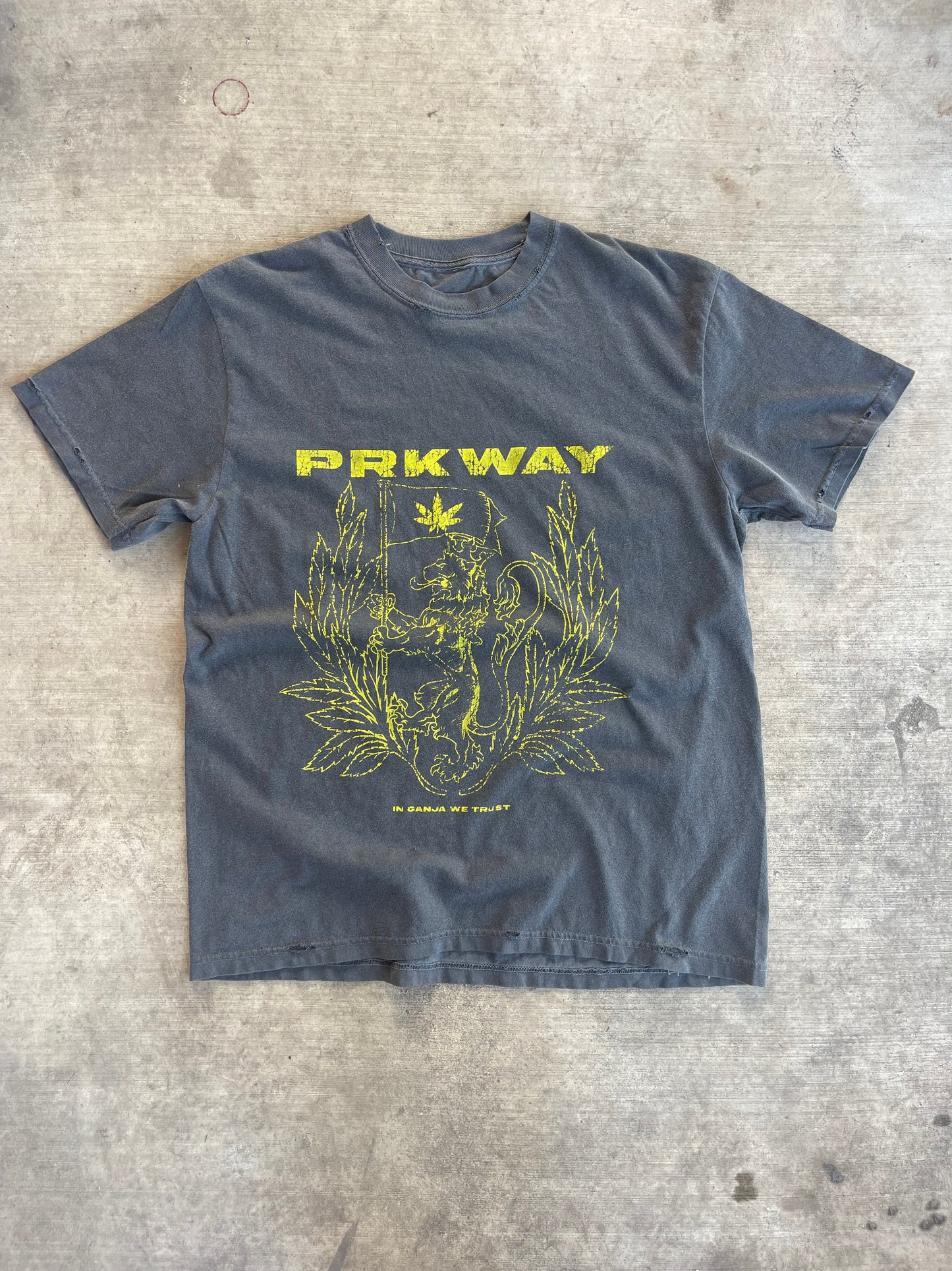Vintage Rastafari Tee